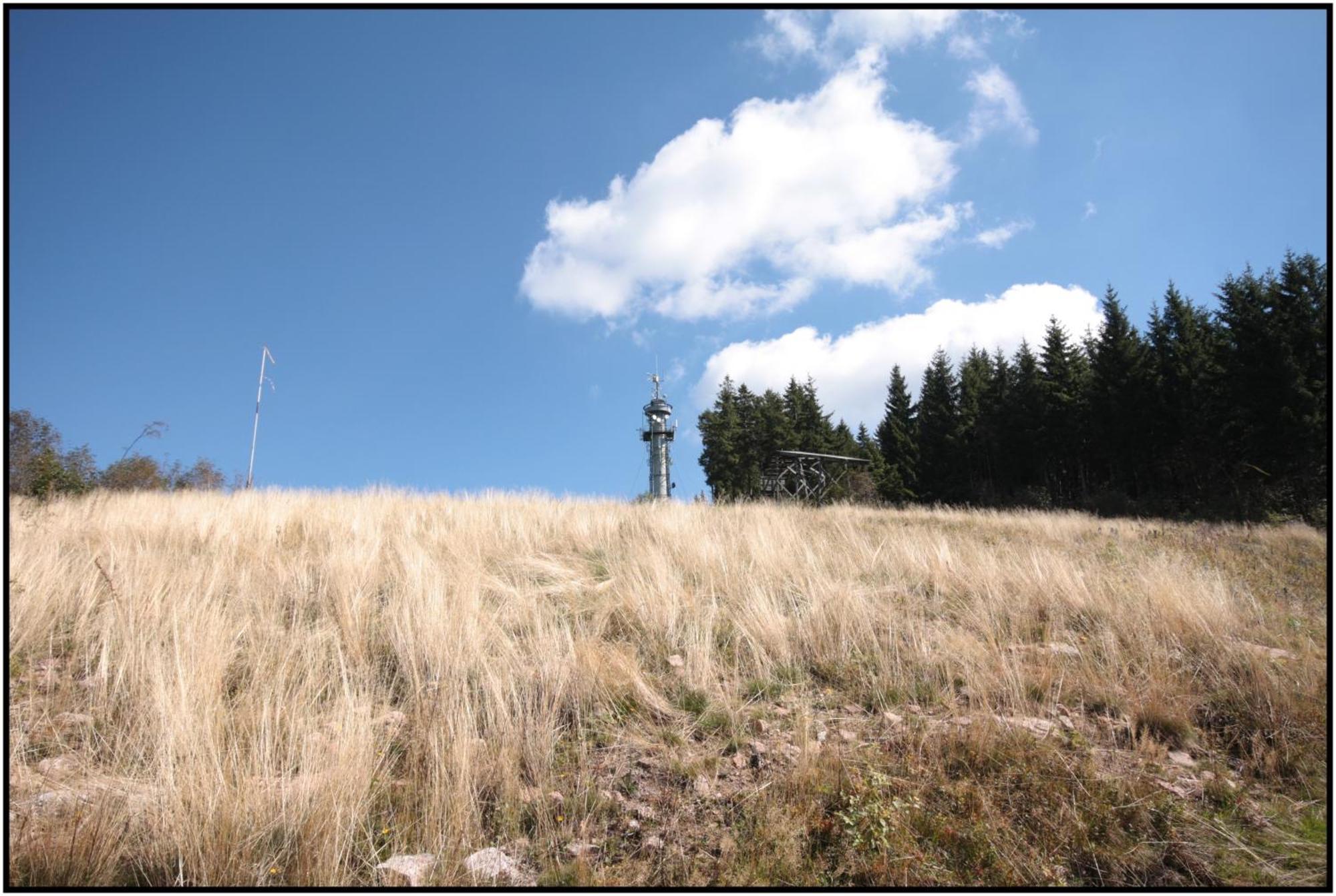 Hotel Pop-Up Stuub Feldberg Feldberg  Zewnętrze zdjęcie
