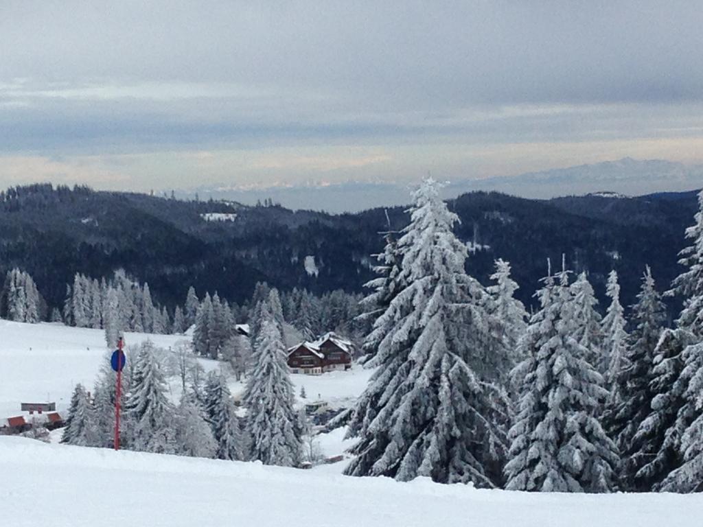 Hotel Pop-Up Stuub Feldberg Feldberg  Zewnętrze zdjęcie
